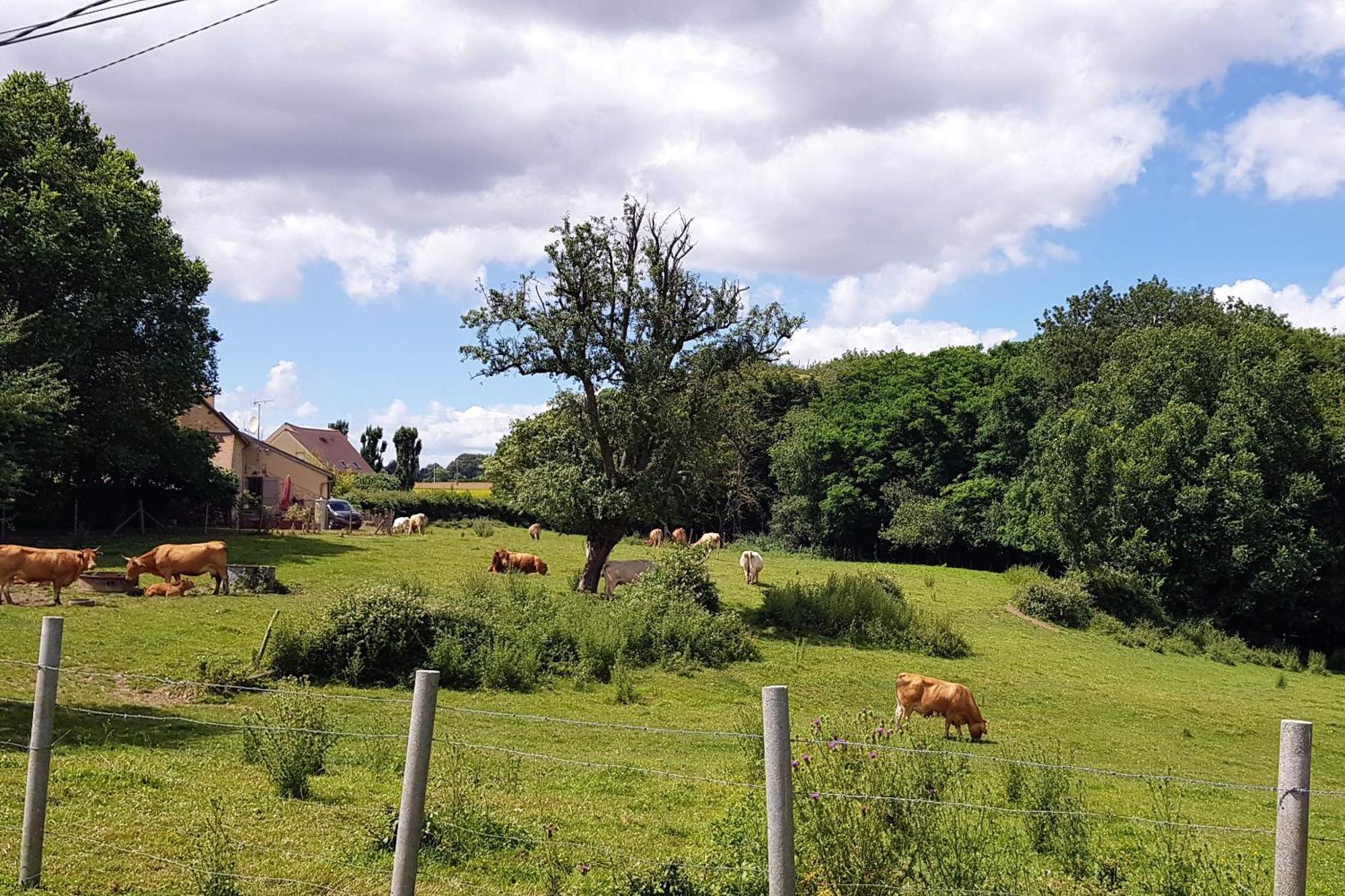 Celies Country Cottage Blaru Zewnętrze zdjęcie